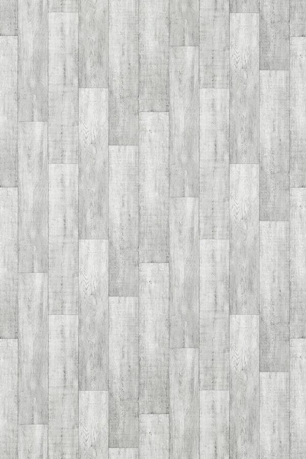 Gambel oak s95