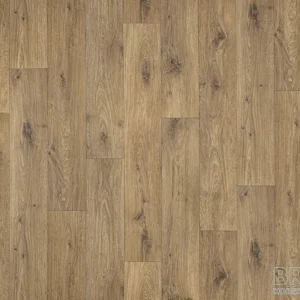 Ohrid oak s43