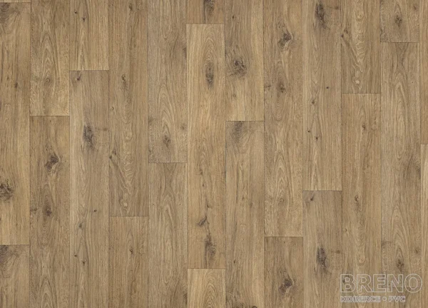 Ohrid oak s43